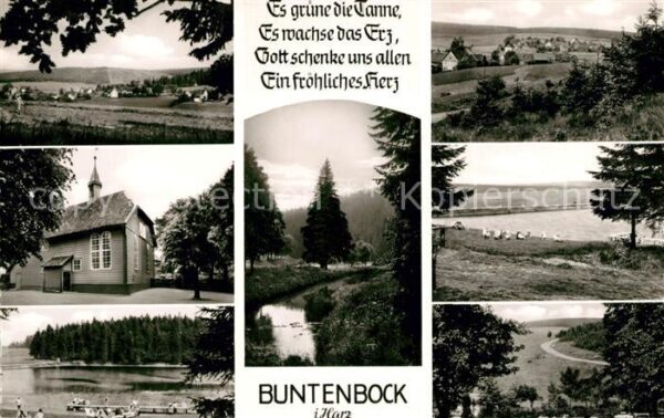 Buntenbock Landschaftspanorama Waldpartie Bachlauf