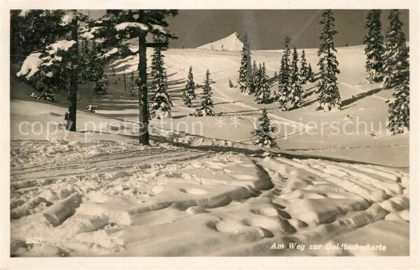 Donnersbach Am Weg zur Goldbachscharte Winterlandsc
