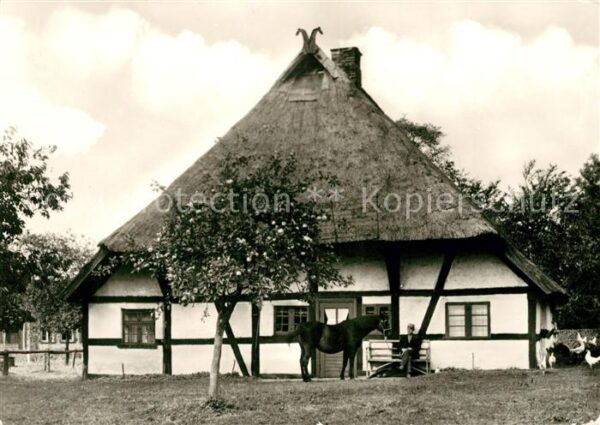 Klockenhagen Denkmalhof Pferd