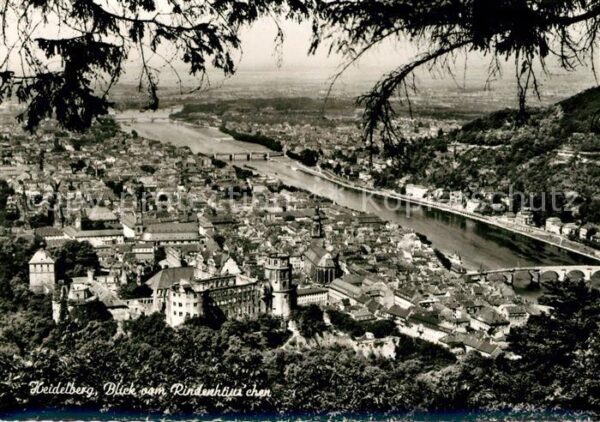 Heidelberg Neckar Panorama Blick vom Rindenhäuschen