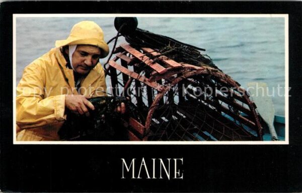 Fischerei Fisherman Lobster Maine Coast