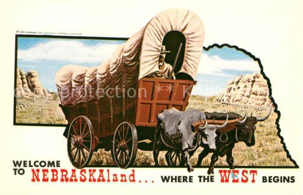 Kutschen Conestoga Wago and Oxen Nebraska
