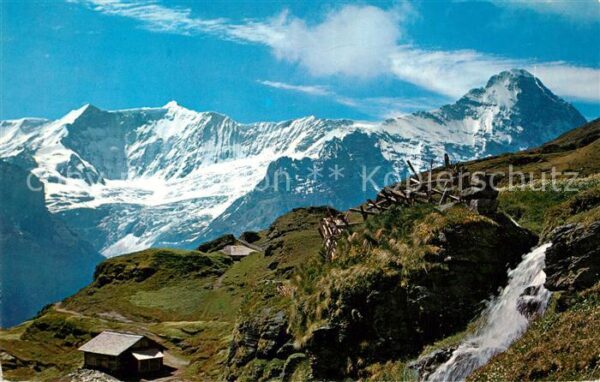 Gletscher Grindelwald-First Bachläger Fiescherhor
