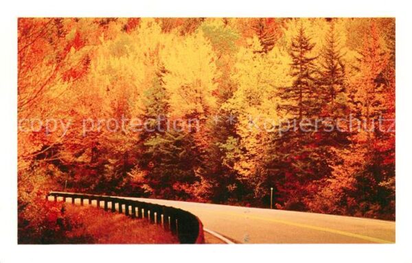 Autobahn Kancamagus Highway White Mountains