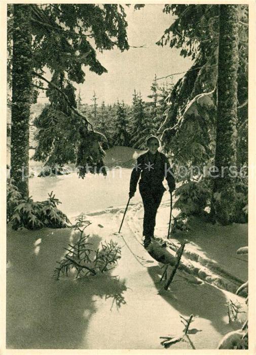 Ski-Langlauf Skiwanderer Glashüttenweg