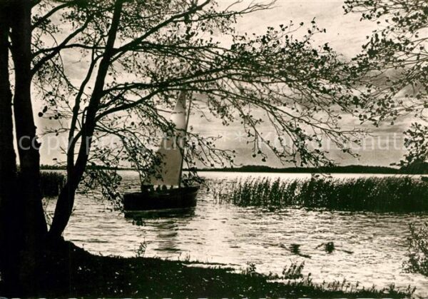 Segelboote Steinhuder Meer