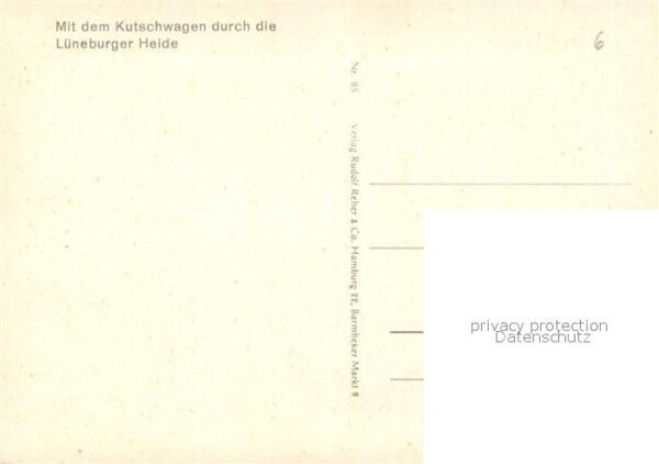 Kutschen Heidekutsche Tränke Schafe Wilsede Lüne – Bild 2