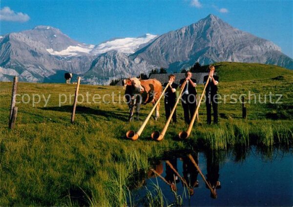 Alphorn Alphortrio Wicky Saanenland Alp Wispile