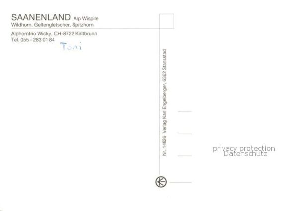 Alphorn Alphortrio Wicky Saanenland Alp Wispile – Bild 2