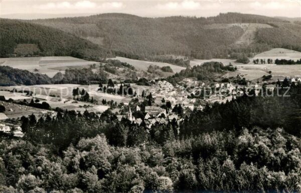 Waldmichelbach Fliegeraufnahme