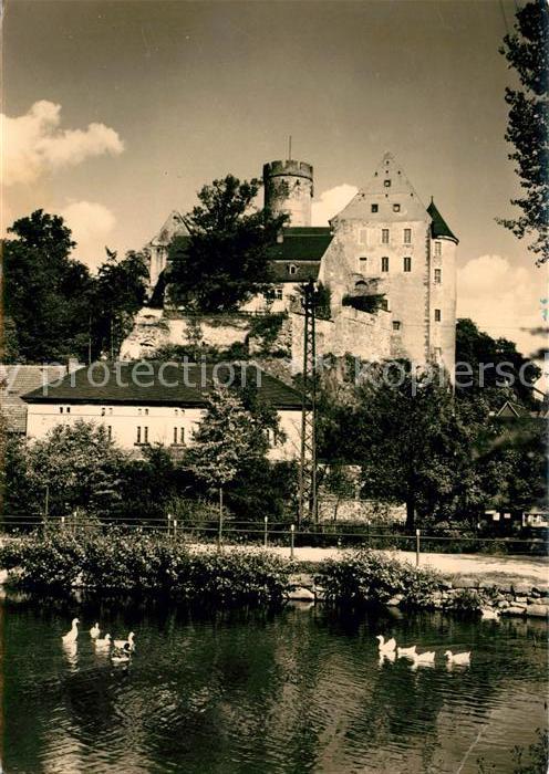 Gnandstein Burg Wasservögel auf der Wyhra