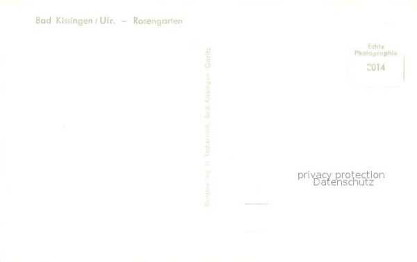 Bad Kissingen Rosengarten – Bild 2