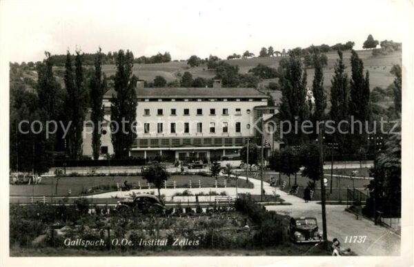 Gallspach Institut Zeileis