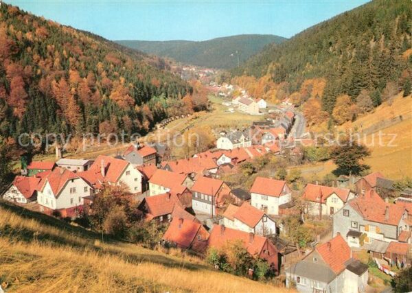 Luisenthal Panorama Herbststimmung
