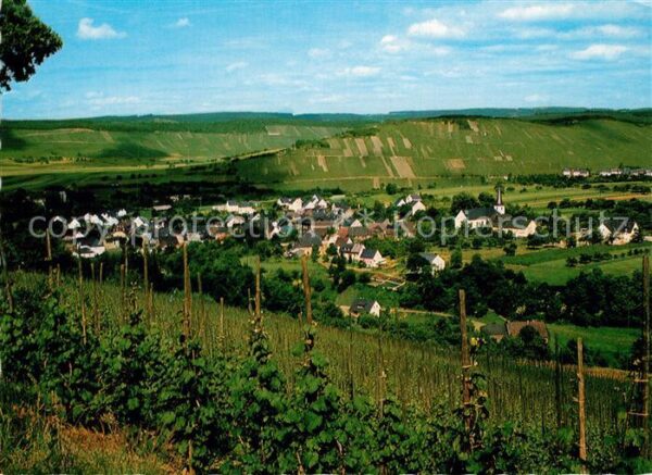 Noviand Panorama Weinberge
