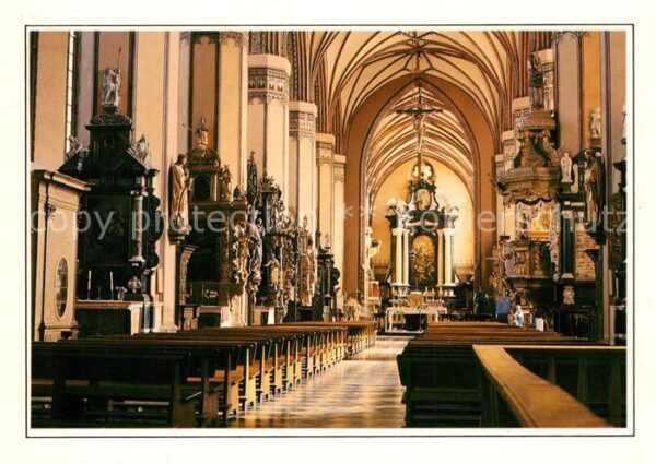 Frombork Katedra Dom Mittelschiff