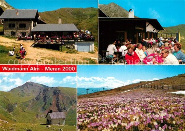 Meran Merano Waidmann Alm