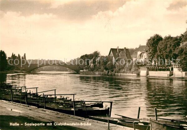 Halle Saale Saalepartie mit Giebichenstein Brücke