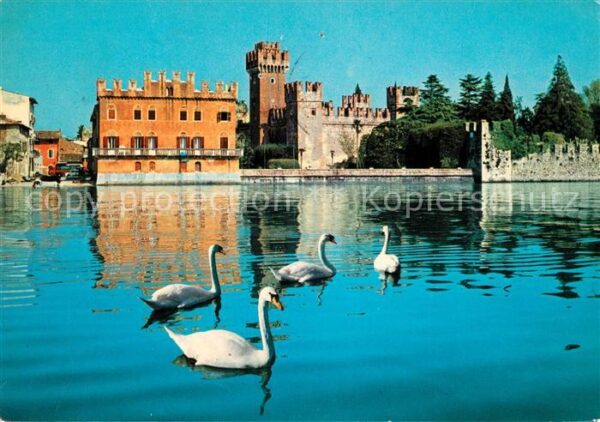 Lazise Lago di Garda Schwäne