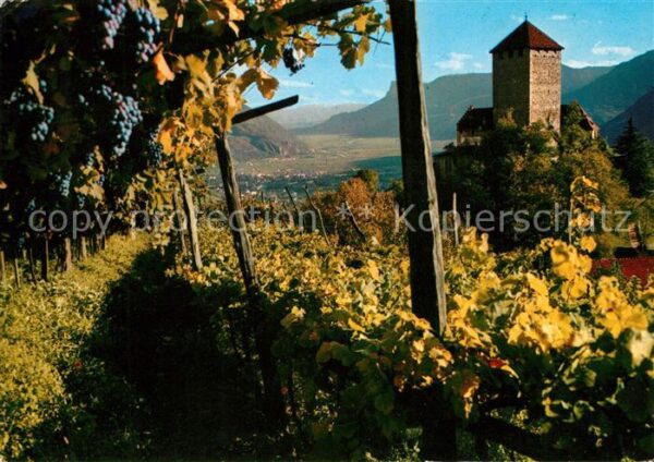 Meran Merano Schloss Tirol