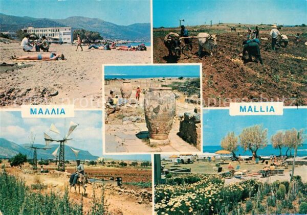 Mallia Strand Camping Bauer