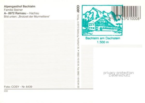 Ramsau Berchtesgaden Bachl Alm Brotzeit der Murmeltiere – Bild 2