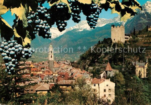 Merano Meran Panorama