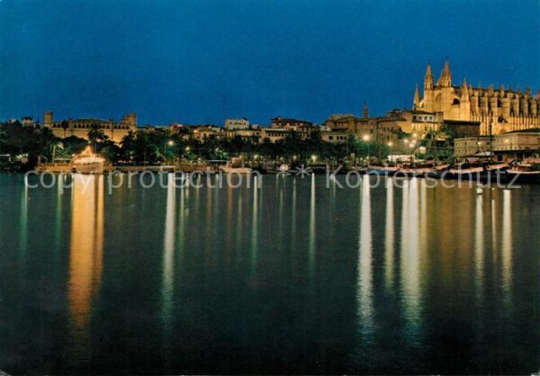 Palma de Mallorca Puerto Catedral y Lonja de noche