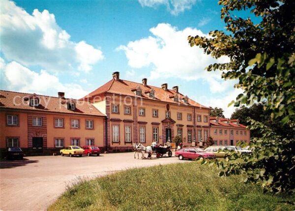 Hannover Wilhelm Busch Museum Pferdekutsche