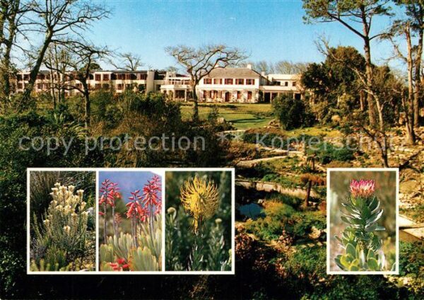 Cape Town Kaapstad Kapstadt Vineyard Hotel Blumen Natur