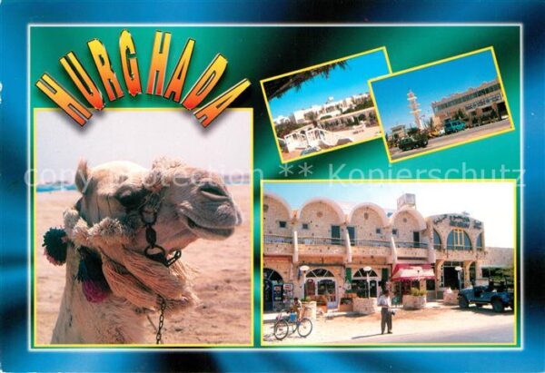Hurghada Kamel Strassenpartie