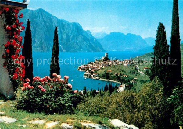 Malcesine Lago di Garda Panorama Gardasee