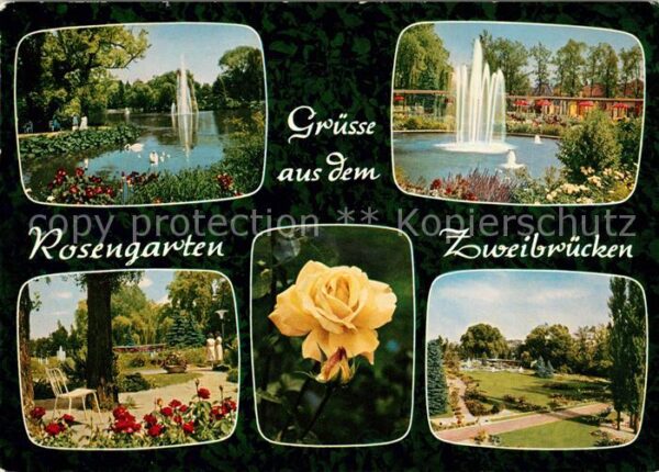 Zweibruecken Pfalz Rosengarten Fontäne Parkanlage Rosenblü