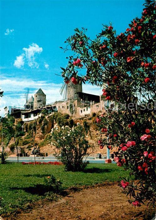 Palma de Mallorca Baumblüte Restaurant Windmühlen
