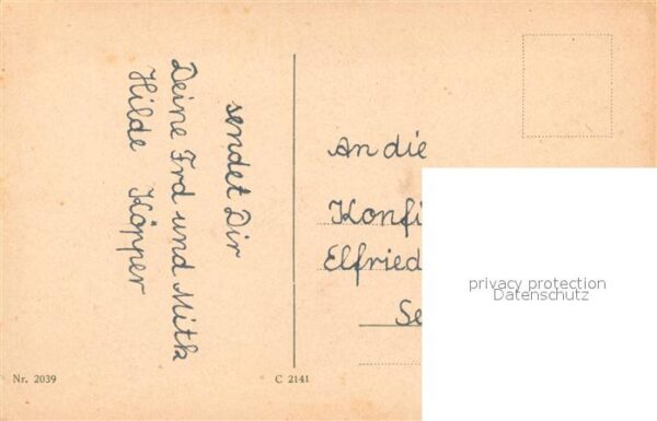 Rosen – Bild 2