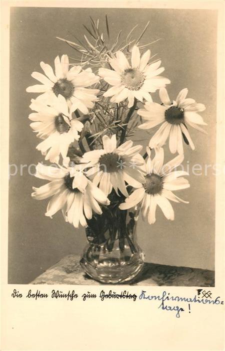 Blumen Margeriten