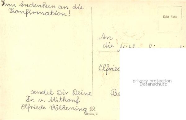 Blumen Margeriten – Bild 2