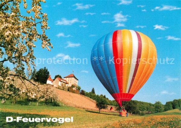 Heissluftballon D-Feuervogel