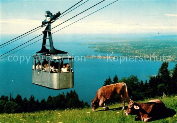 Seilbahn Pfänder Bregenz Bodensee Lindau Kühe