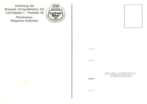 Pferde Belgische Kaltblüter Achterzug Brauerei – Bild 2