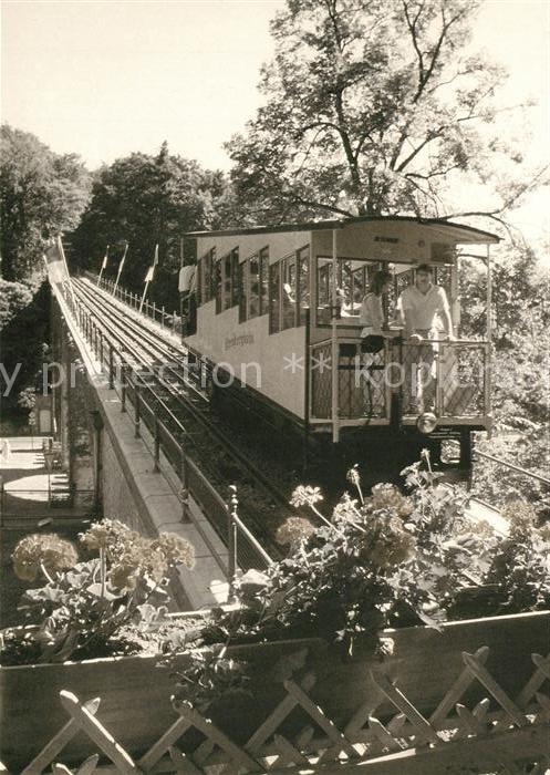 Nerobergbahn Viadukt Wiesbaden