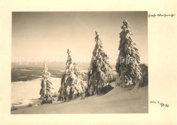 Foto Popp Nr. 3538-3 Tannenbäume Weihnachten