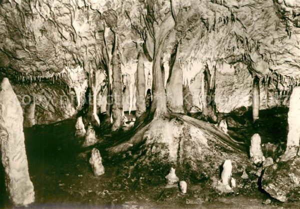 Hoehlen Caves Grottes Hermannshöhle Märchenwald Rübeland