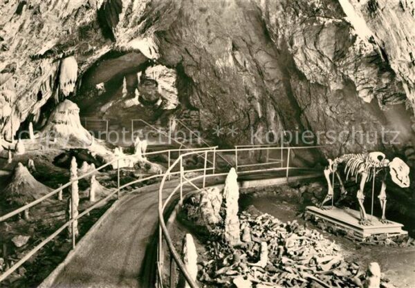 Hoehlen Caves Grottes Hermannshöhle Bärenfriedhof Kanzel Rübe