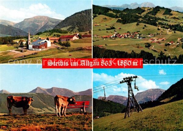 Steibis Fliegeraufnahme Kühe Sessellift