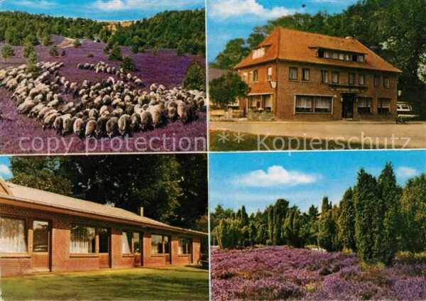 Volkwardingen Gasthaus Lüdtke Heidelandschaften Heids