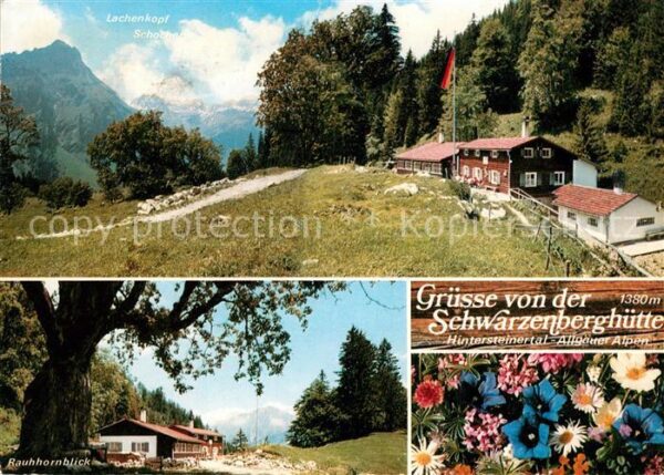 Hinterstein Bad Hindelang Schwarzenberghütte Rauhhornblick Alpenf