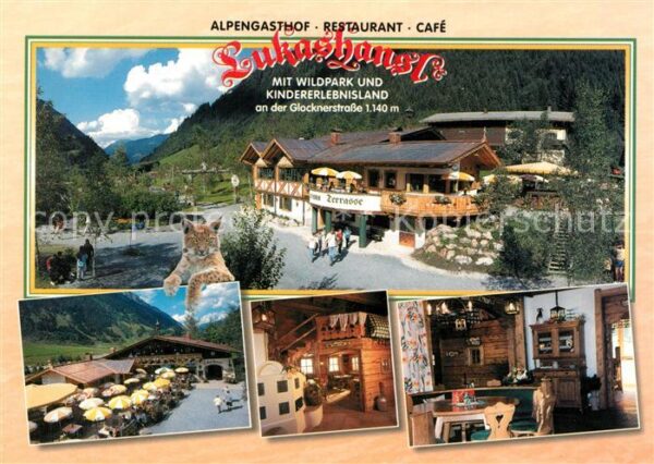 Fusch Grossglocknerstrasse Gasthof Lukashansl Terrasse Gaststuben