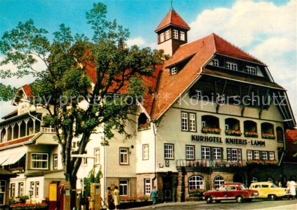 Lamm Kniebis Kurhotel Kniebis Lamm