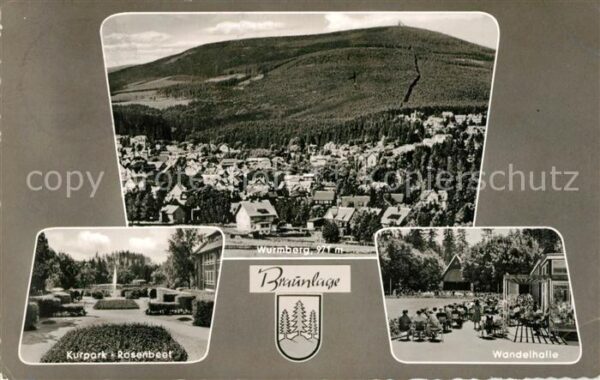 Braunlage Gesamtansicht mit Wurmberg Kurpark Rose